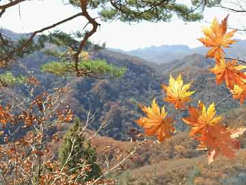 時光記錄者，歷史上的12月09日實(shí)時氣溫手表，記錄時光中的溫度變遷