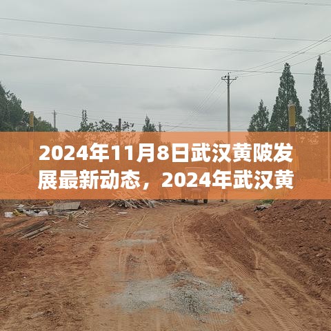 2024年武漢黃陂發(fā)展最新動態(tài)探索，融入?yún)^(qū)域發(fā)展大潮的步伐