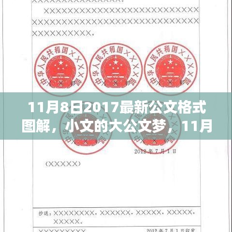 11月8日最新公文格式圖解，小文的大公文夢(mèng)與圖解之旅