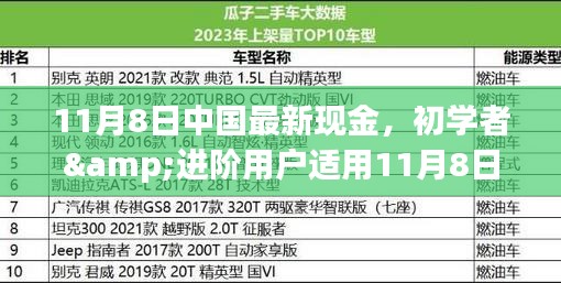 初學(xué)者與進(jìn)階用戶指南，11月8日中國(guó)最新現(xiàn)金操作指南及任務(wù)完成步驟詳解