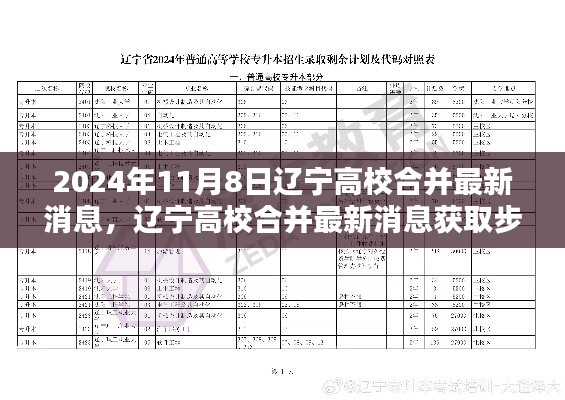 遼寧高校合并最新消息獲取指南，初學者與進階用戶適用，2024年高校合并最新動態(tài)揭秘