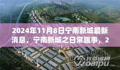 寧南新城日常趣事與陽光溫情，2024年11月8日最新消息