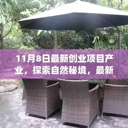 最新創(chuàng)業(yè)項目引領心靈之旅，探索自然秘境的奇妙旅程啟動！