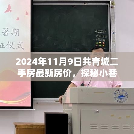 2024年共青城二手房最新房?jī)r(jià)揭秘，小巷特色小店探秘