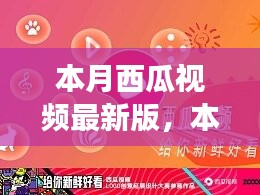 本月西瓜視頻最新版，全新體驗(yàn)與功能升級(jí)指南