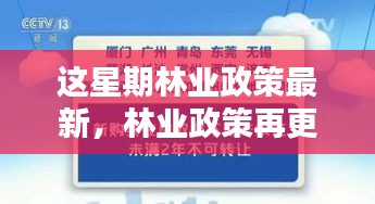 林業(yè)政策最新動向，本周更新及其時代影響力分析