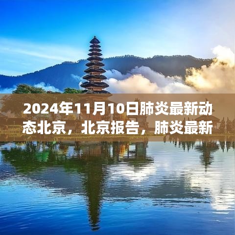 北京肺炎最新動(dòng)態(tài)深度觀察，報(bào)告與影響，2024年11月10日最新進(jìn)展