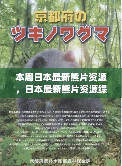 日本最新熊片資源綜述，背景、進(jìn)展與特定領(lǐng)域地位探討