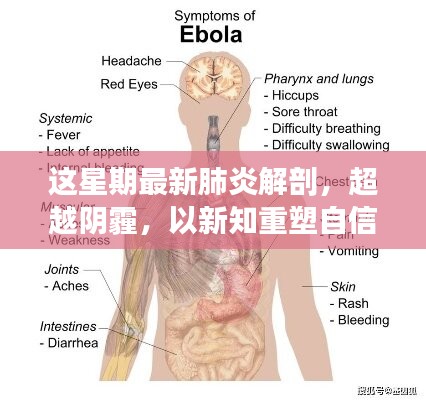 超越陰霾，最新肺炎解剖啟示錄，重塑信心與新知的探索