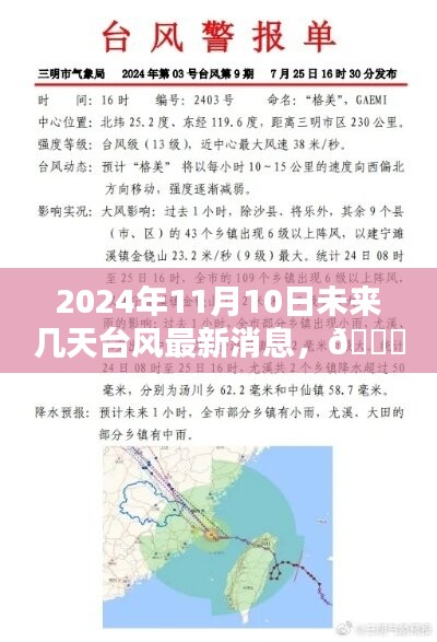 2024年11月10日及未來數日臺風動態(tài)，最新消息與全面解析