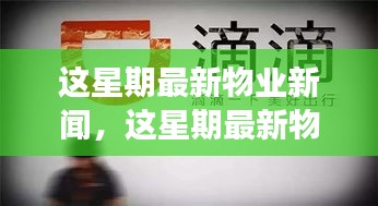 最新物業(yè)新聞一周概覽，全面解讀物業(yè)領(lǐng)域最新動(dòng)態(tài)