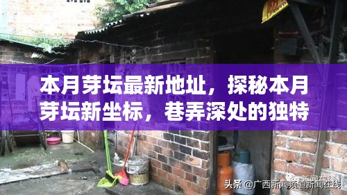 探秘本月芽壇新坐標(biāo)，巷弄深處的獨(dú)特小店最新地址揭秘