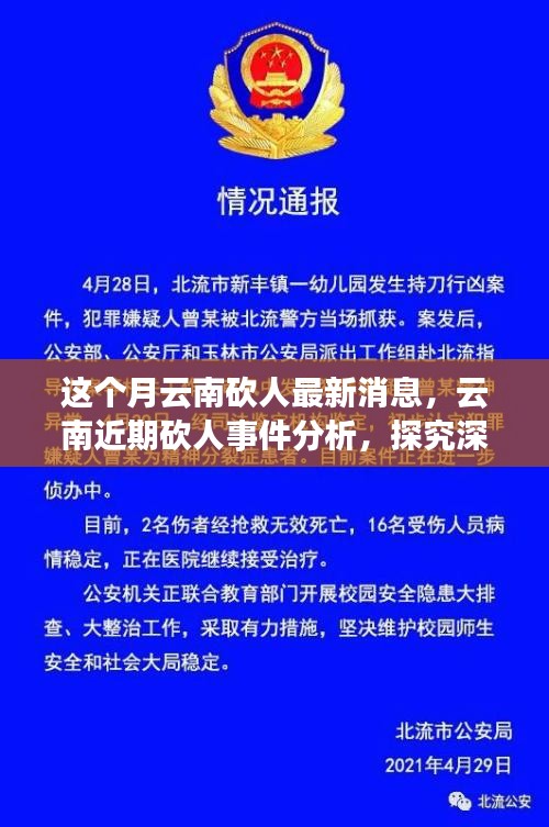 云南砍人事件最新消息，深層原因探究與各方觀點分析