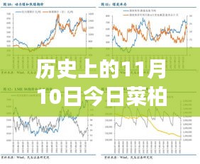 歷史上的11月10日，菜柏價格背后的勵志故事與最新行情，自信成就感的源泉