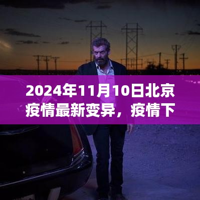 北京疫情最新變異下的溫情與友情日常，2024年11月10日最新觀察