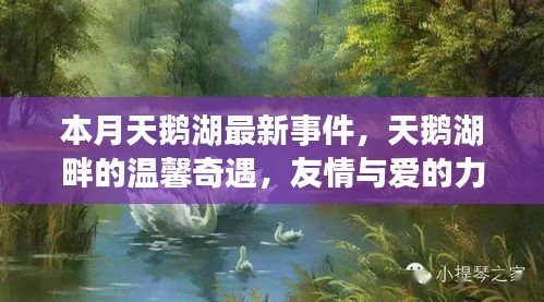 本月天鵝湖畔的溫馨奇遇，友情與愛的力量的展現(xiàn)