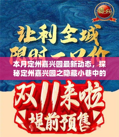 本月定州嘉興園最新動(dòng)態(tài)，探秘隱藏小巷的獨(dú)特風(fēng)味——新鮮打卡指南