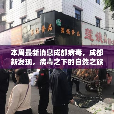 成都病毒新發(fā)現(xiàn)，自然之旅中的心靈港灣探尋