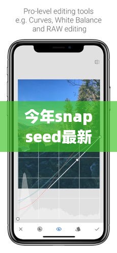 Snapseed最新版下載，回顧發(fā)展歷程，時(shí)代印記下的影響與地位