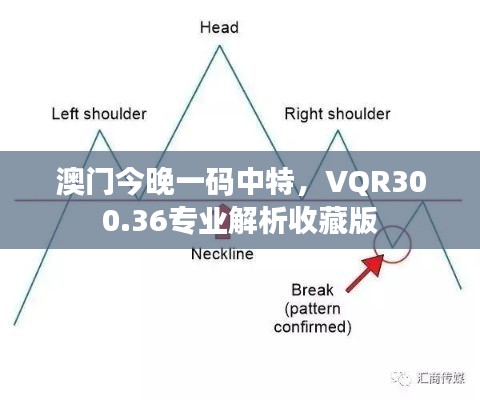 澳門今晚一碼中特，VQR300.36專業(yè)解析收藏版