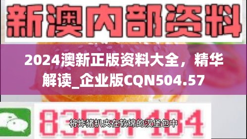 2024澳新正版資料大全，精華解讀_企業(yè)版CQN504.57