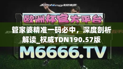 管家婆精準一碼必中，深度剖析解讀_權威TDN190.57版