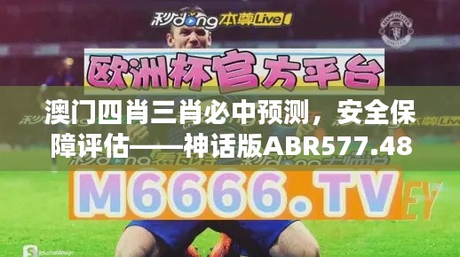 澳門四肖三肖必中預(yù)測，安全保障評估——神話版ABR577.48