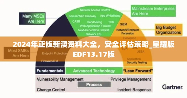 2024年正版新澳資料大全，安全評估策略_星耀版EDF13.17版