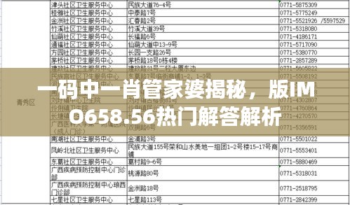 一碼中一肖管家婆揭秘，版IMO658.56熱門解答解析