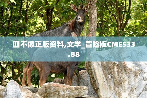 四不像正版資料,文學(xué)_冒險(xiǎn)版CME533.88