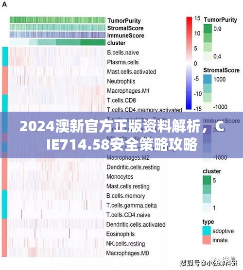 2024澳新官方正版資料解析，CIE714.58安全策略攻略