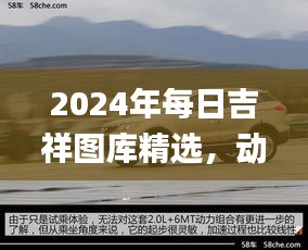 2024年每日吉祥圖庫精選，動(dòng)態(tài)解讀_SXR232.69遺憾缺席