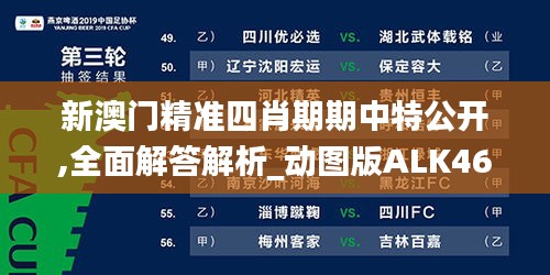 新澳門精準四肖期期中特公開,全面解答解析_動圖版ALK463.12