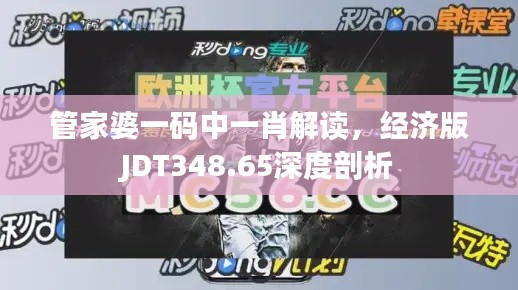 管家婆一碼中一肖解讀，經(jīng)濟版JDT348.65深度剖析