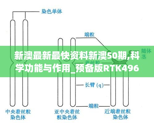 新澳最新最快資料新澳50期,科學功能與作用_預備版RTK496.23