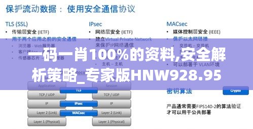 一碼一肖100%的資料,安全解析策略_專家版HNW928.95