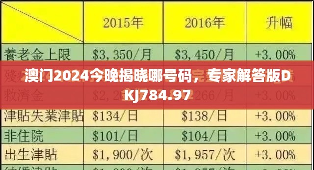 澳門(mén)2024今晚揭曉哪號(hào)碼，專(zhuān)家解答版DKJ784.97