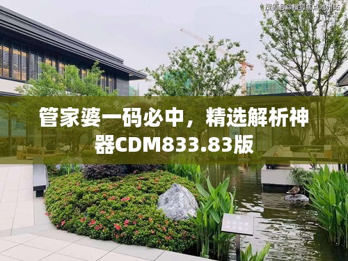 管家婆一碼必中，精選解析神器CDM833.83版