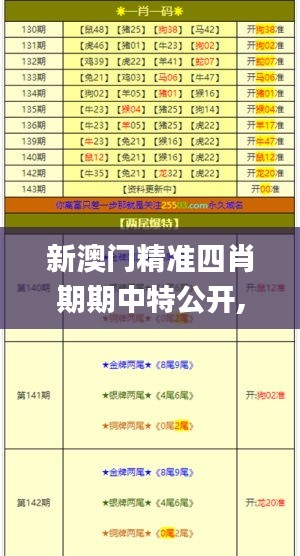 新澳門精準(zhǔn)四肖期期中特公開,安全設(shè)計(jì)策略解析_調(diào)整版RKF487.89