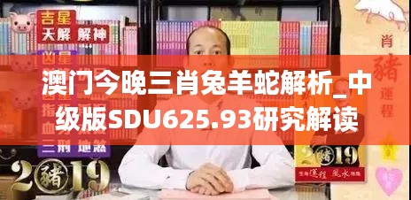 澳門今晚三肖兔羊蛇解析_中級(jí)版SDU625.93研究解讀