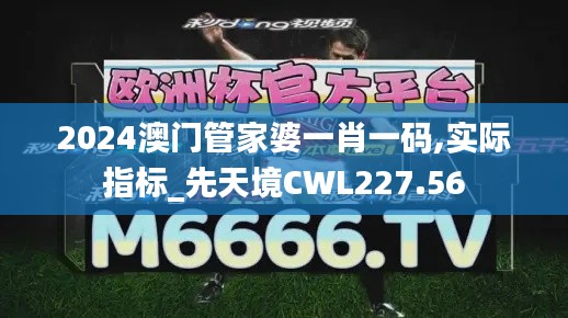 2024澳門管家婆一肖一碼,實際指標(biāo)_先天境CWL227.56