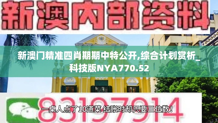 新澳門精準四肖期期中特公開,綜合計劃賞析_科技版NYA770.52