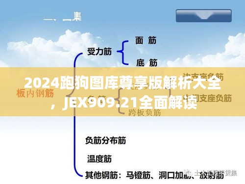 2024跑狗圖庫(kù)尊享版解析大全，JEX909.21全面解讀