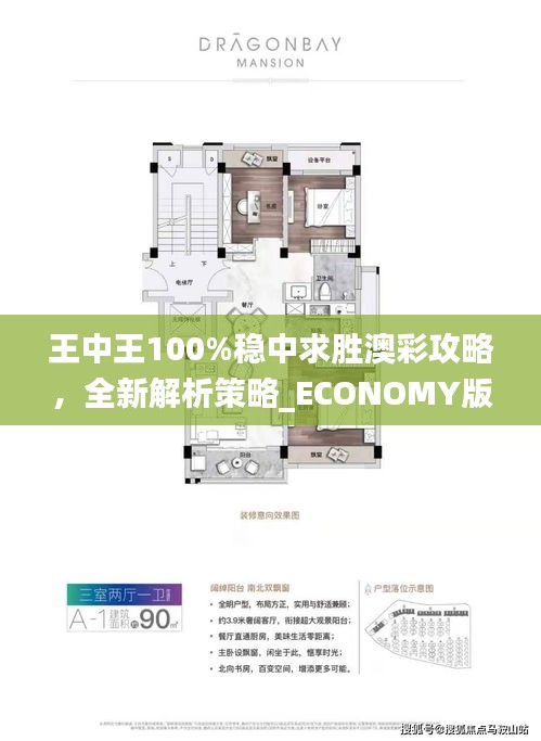 王中王100%穩(wěn)中求勝澳彩攻略，全新解析策略_ECONOMY版ANL510.67