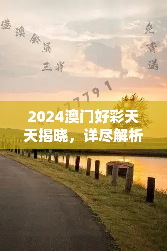 2024澳門好彩天天揭曉，詳盡解析BQY231.21和諧版