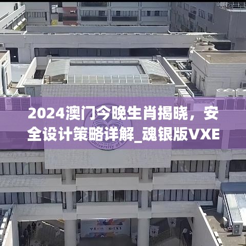 2024澳門今晚生肖揭曉，安全設(shè)計(jì)策略詳解_魂銀版VXE642.92