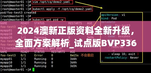 2024澳新正版資料全新升級，全面方案解析_試點版BVP336.32