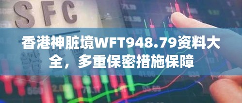 香港神臟境WFT948.79資料大全，多重保密措施保障