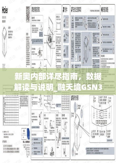 新奧內(nèi)部詳盡指南，數(shù)據(jù)解讀與說明_融天境GSN335.3