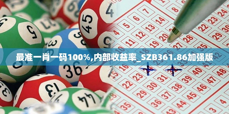 最準一肖一碼100%,內(nèi)部收益率_SZB361.86加強版